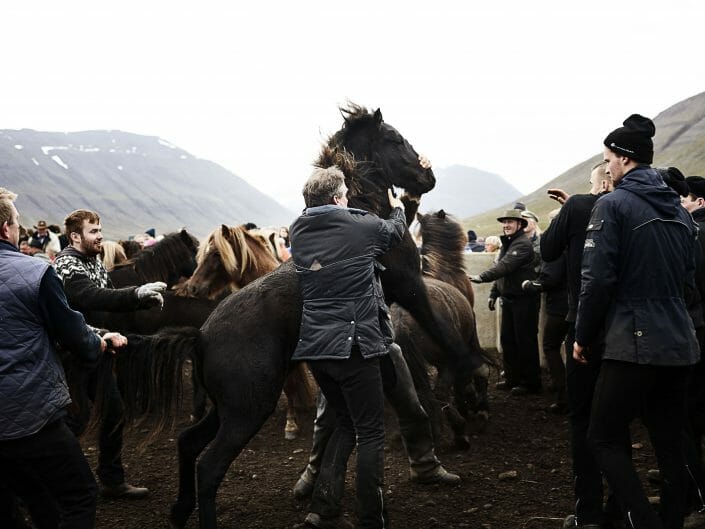 Reportagefoto