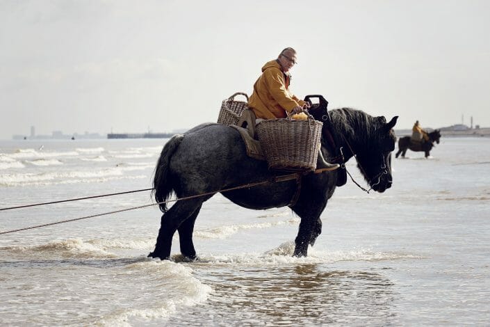 Horseback Shrimp Fishermen