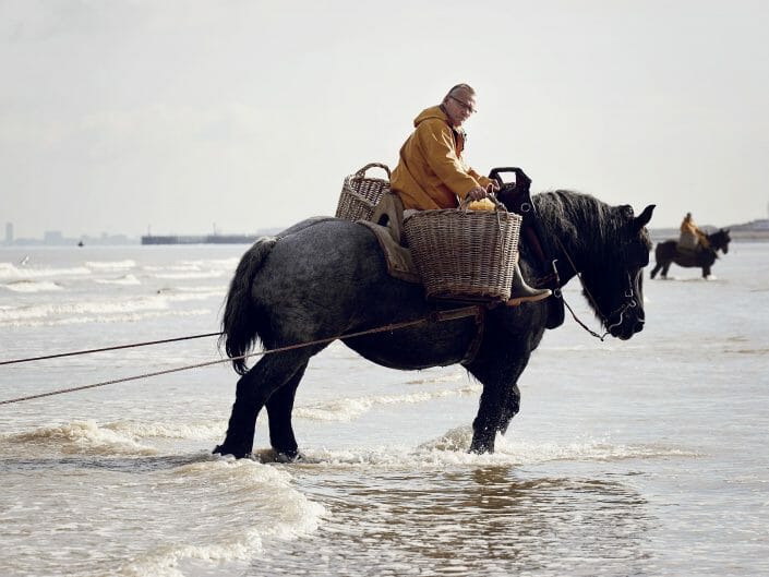 Horseback Shrimp Fishermen
